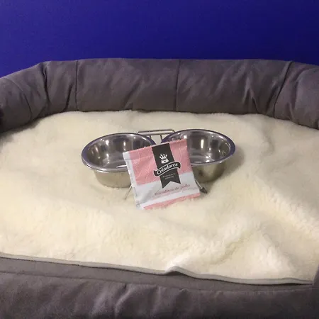 Casual Gurea Pensionat 2*