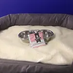 Casual Gurea بيت ضيافة 2*