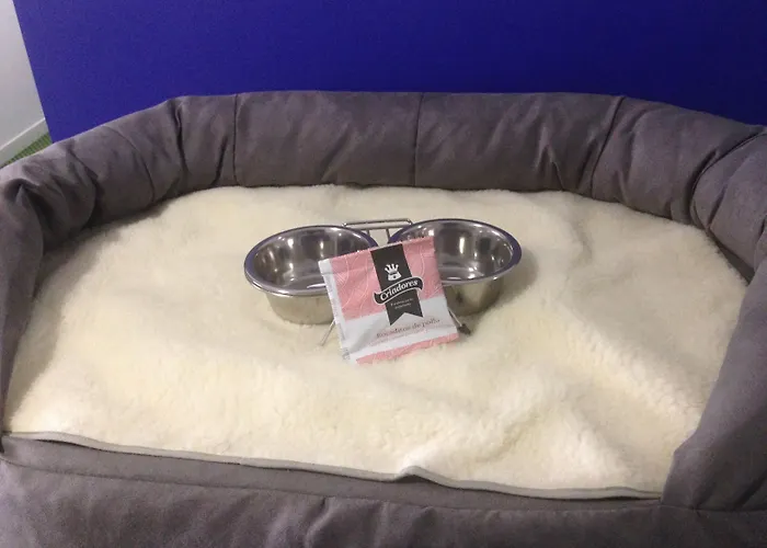 Casual Gurea بيت ضيافة 2*